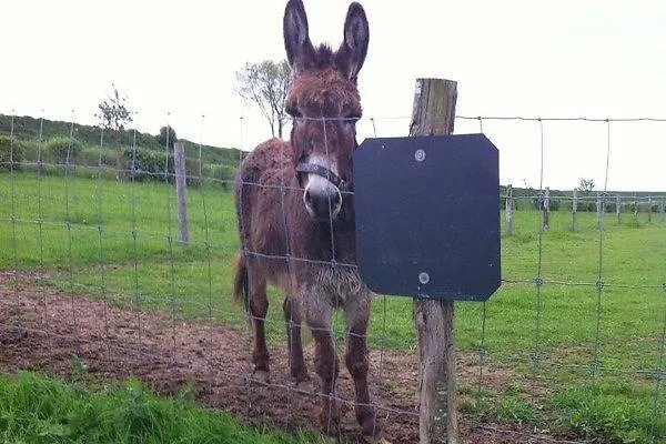 Domaine Du Val Vakantiepark